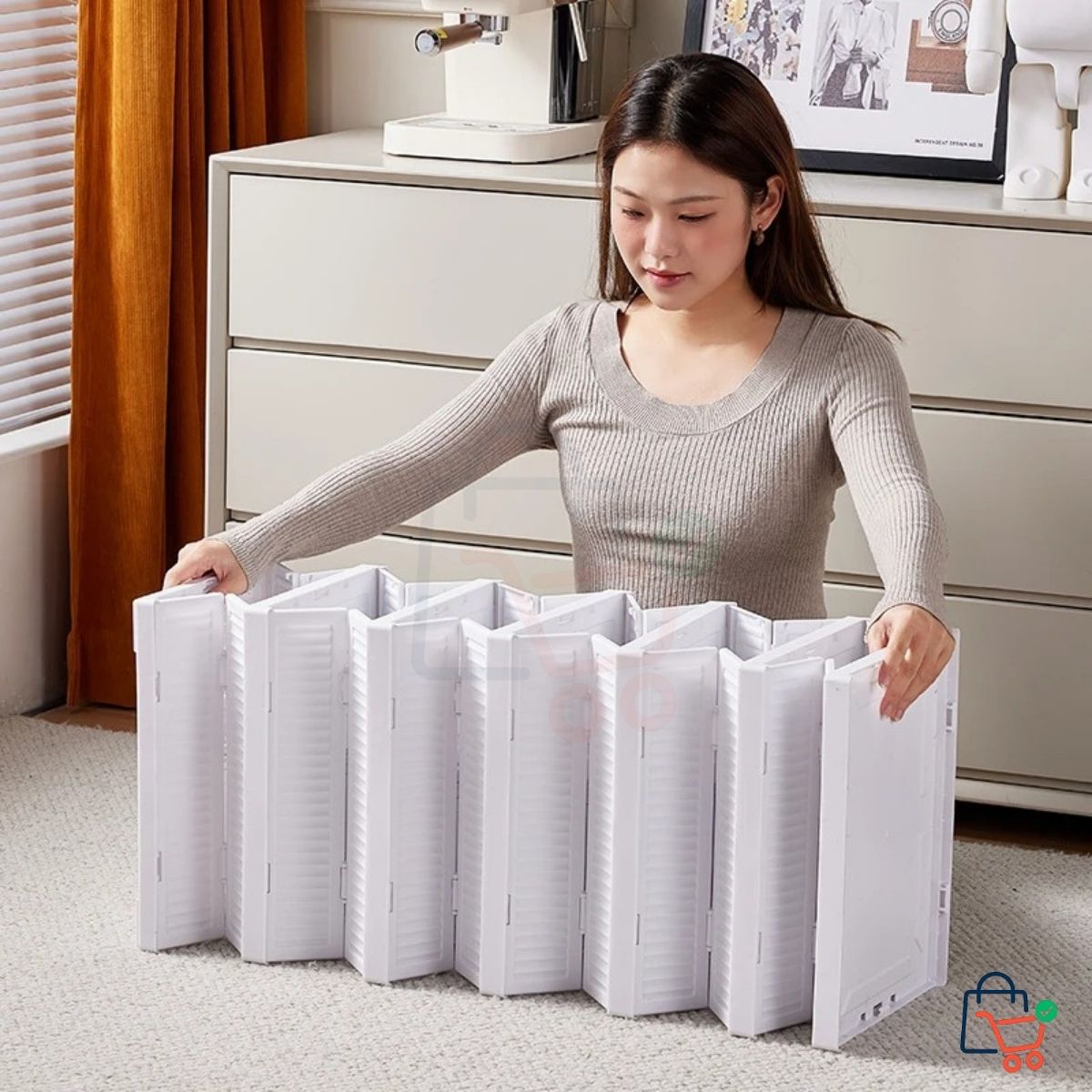 Foldable Shoe Cabinet (6 Pairs)