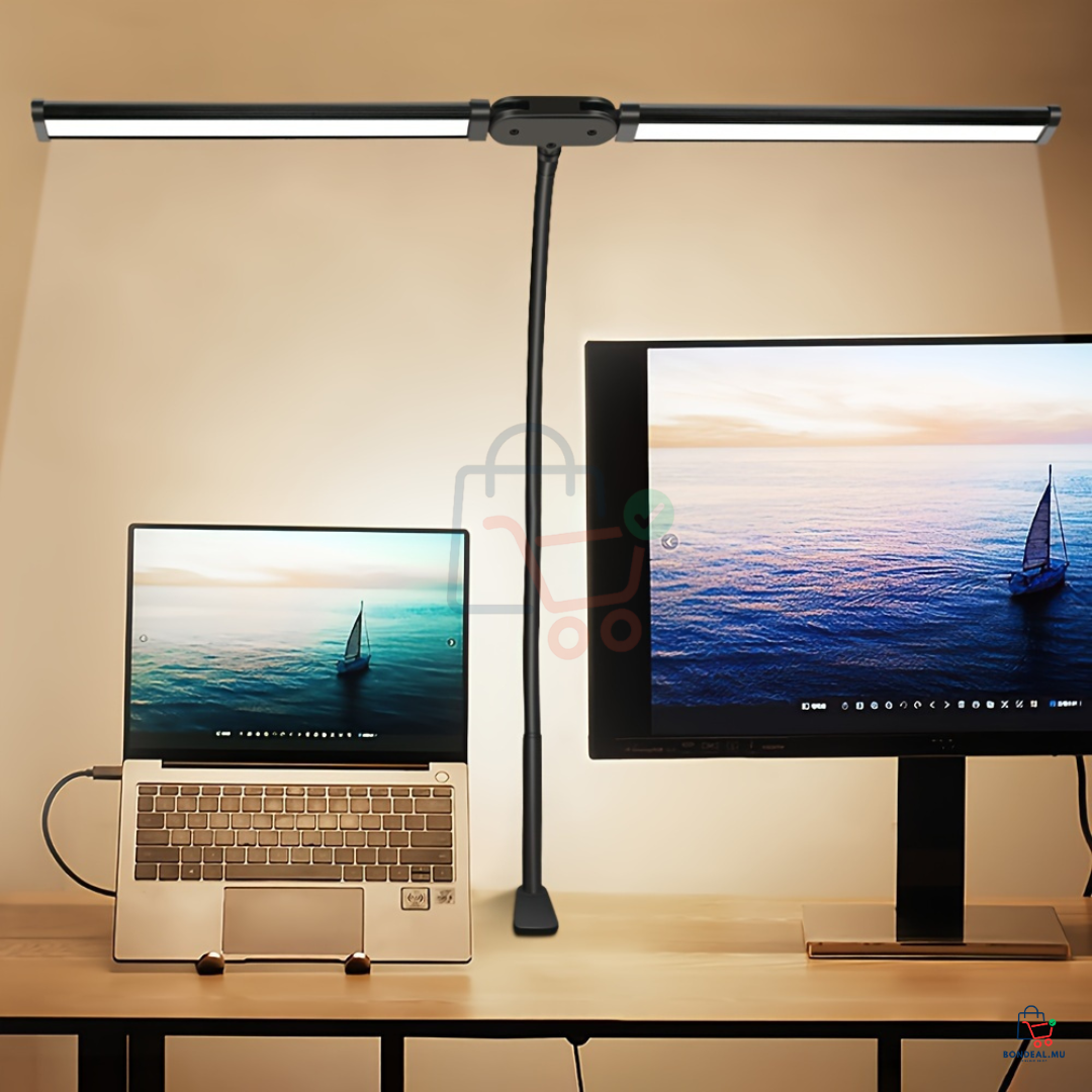 Dual LED Desk Lamp