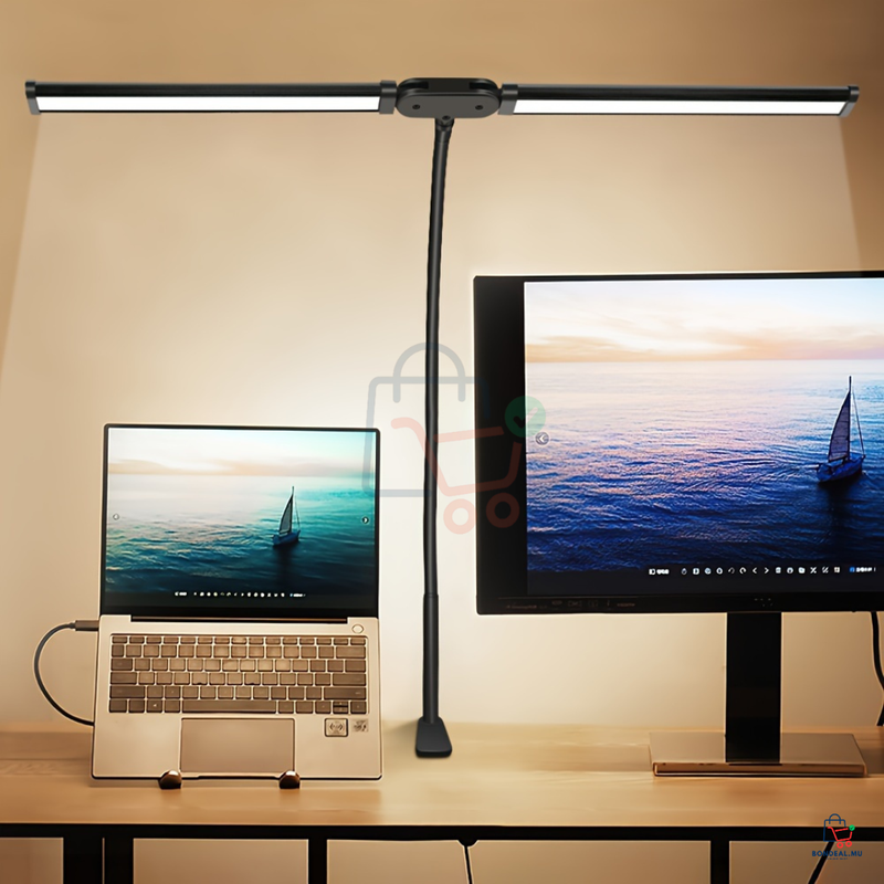 Dual LED Desk Lamp