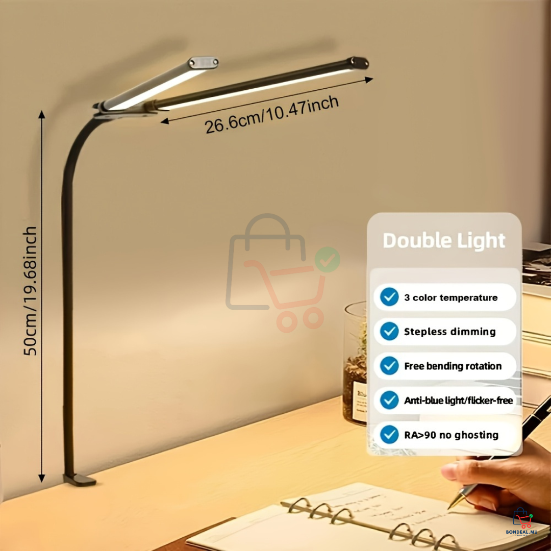 Dual LED Desk Lamp