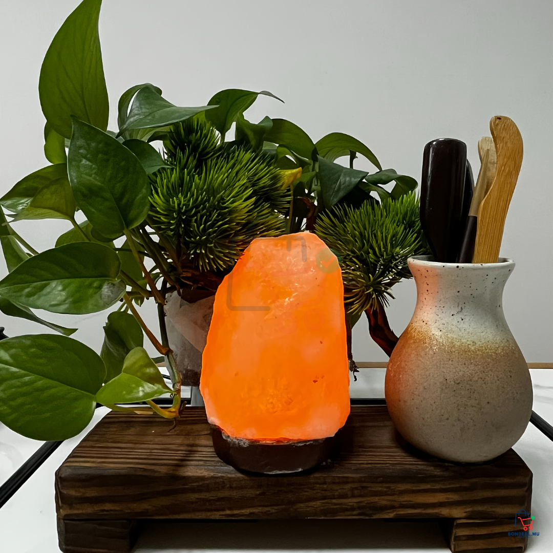 Salt Lamp