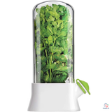 2 Pcs - Large Herb Fridge Storage