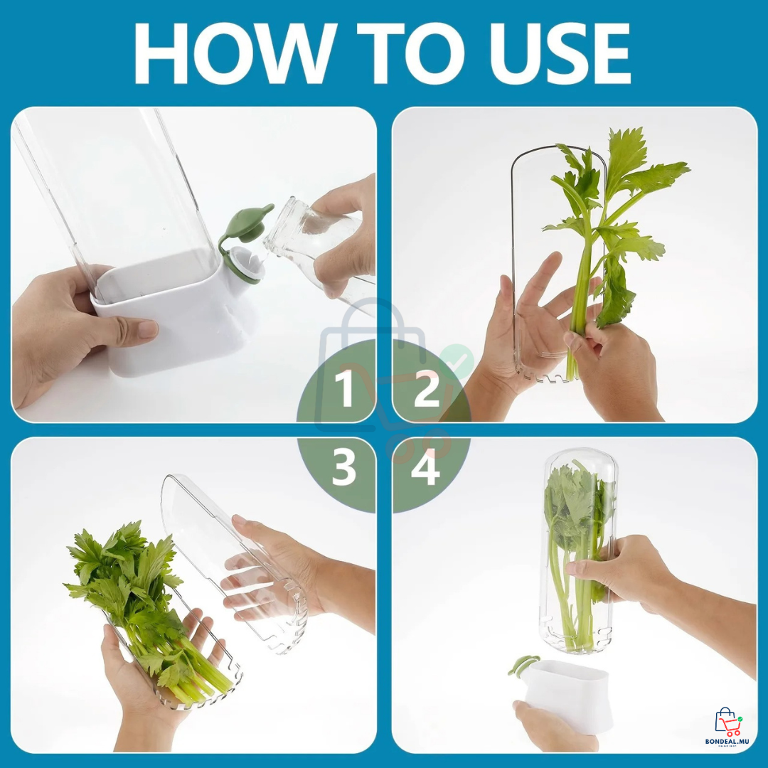 2 Pcs - Large Herb Fridge Storage