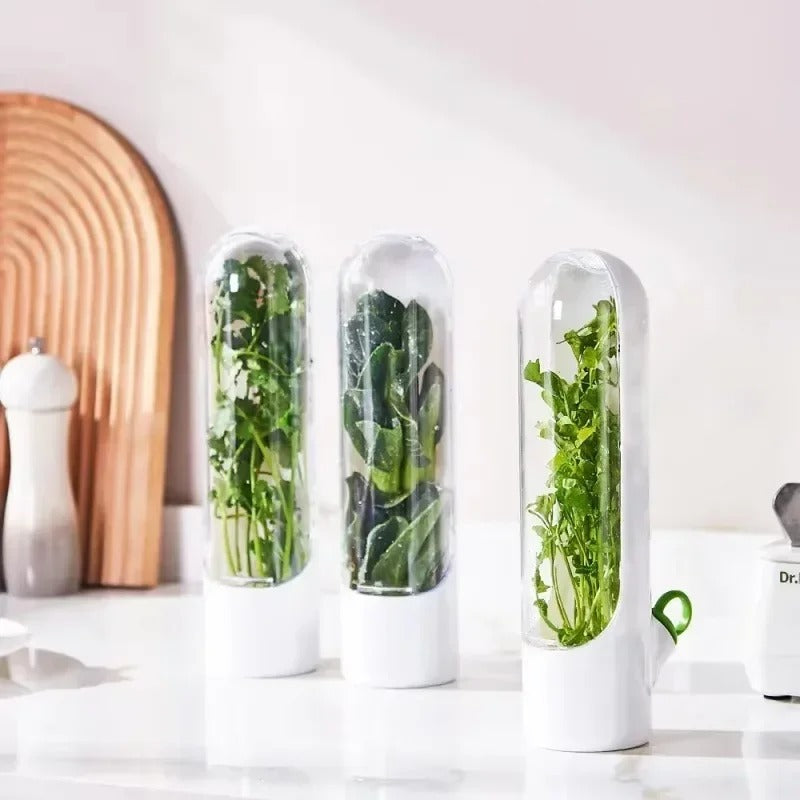 Herb Fridge Storage