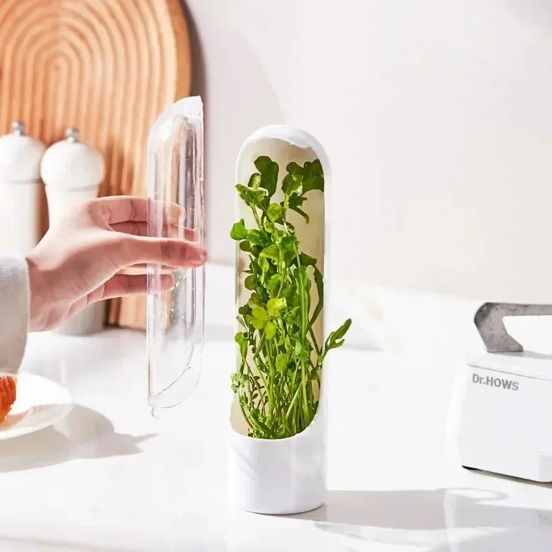 Herb Fridge Storage